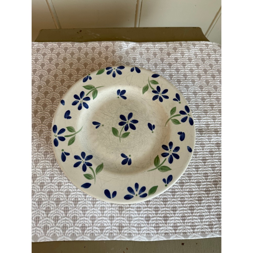 Set of 4 Pfaltzgraff 8" Tea Rose Salad Plates Blue Floral Stoneware Vintage USA